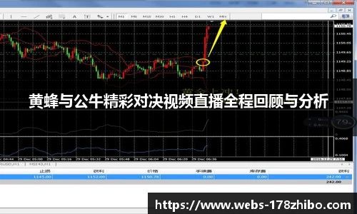 黄蜂与公牛精彩对决视频直播全程回顾与分析